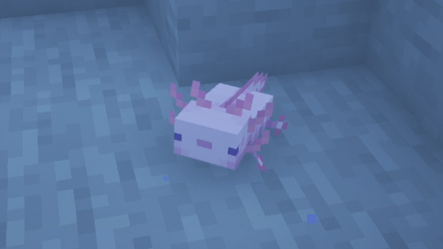 How To Breed Axolotls Minecraft